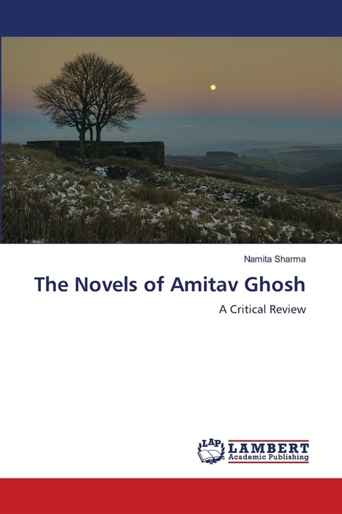 The Novels of Amitav Ghosh (Paperback)