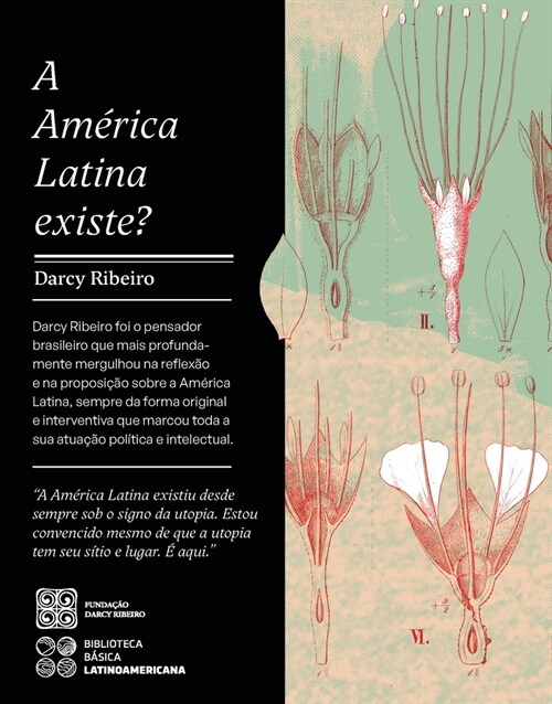 A Am?ica Latina Existe? (Paperback)