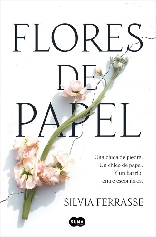 Flores de Papel / Paper Flowers (Paperback)