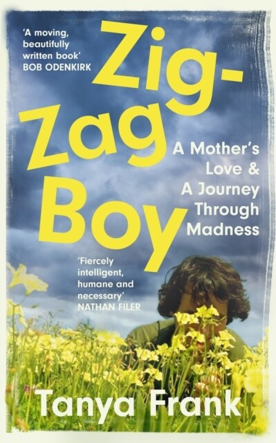 Zig-Zag Boy : A Mother’s Love & a Journey Through Madness (Paperback)