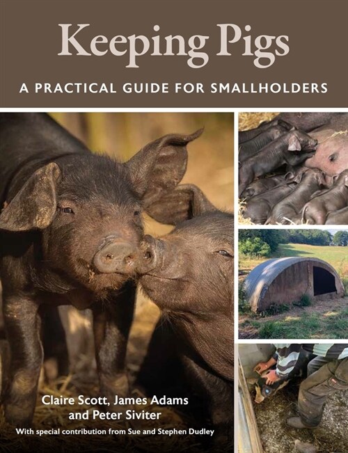 Keeping Pigs : A Practical Guide for Smallholders (Paperback)