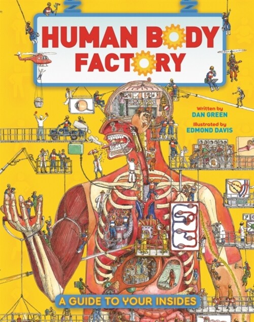 The Human Body Factory : A Guide To Your Insides (Paperback)