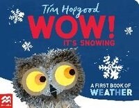 WOW! Its Snowing : A First Book of Weather (Board Book)