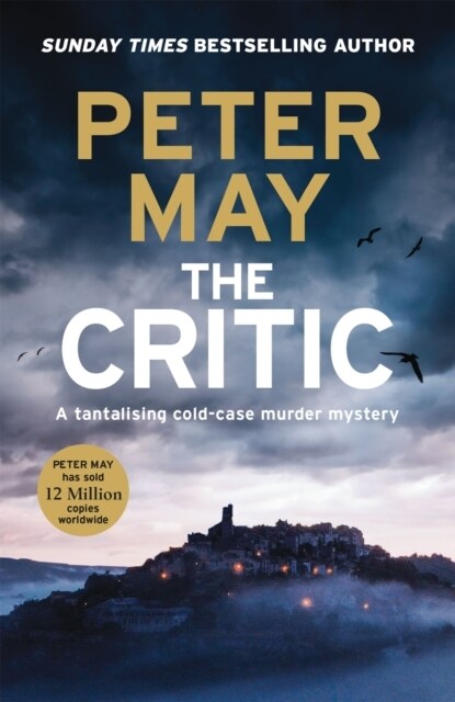 The Critic : A tantalising cold-case murder mystery (The Enzo Files Book 2) (Paperback)