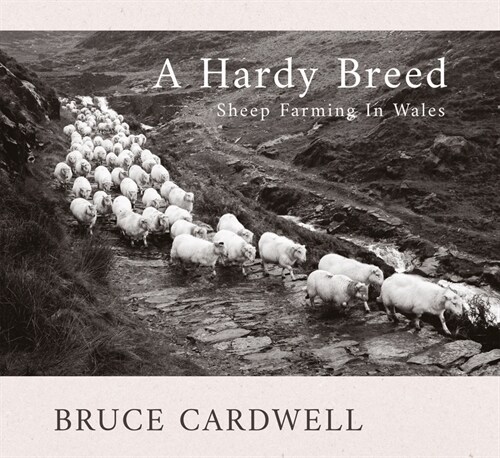 A Hardy Breed (Paperback)