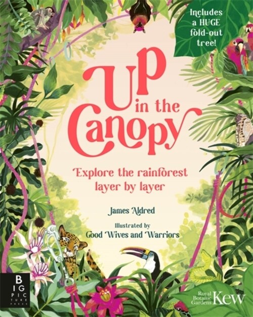 Up in the Canopy : Explore the Rainforest, Layer by Layer (Hardcover)