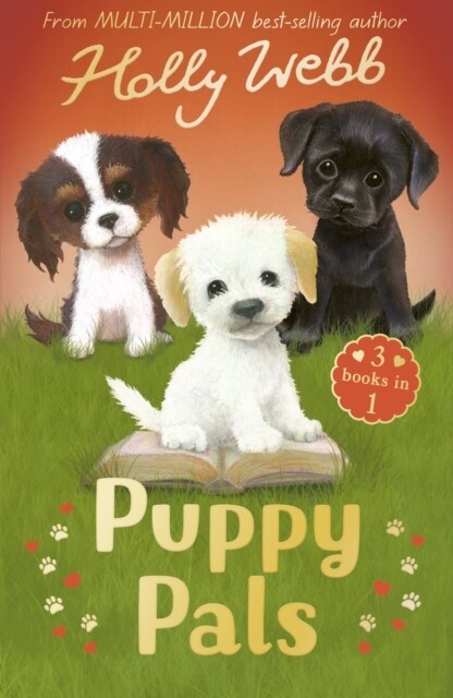 Puppy Pals : The Story Puppy, The Seaside Puppy, Monty the Sad Puppy (Paperback)
