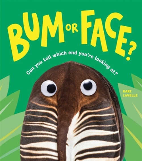 Bum or Face (Paperback)
