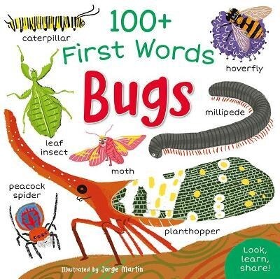 100+ First Words: Bugs (Paperback)