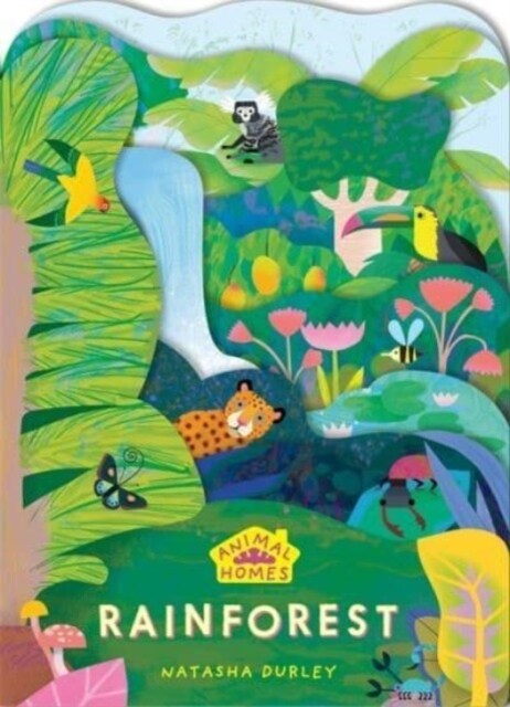 Animal Homes: Rainforest (Board Book)