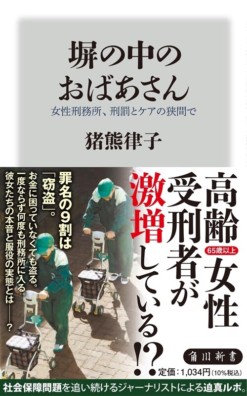 ?の中のおばあさん 女性刑務所、刑罰とケアの狹間で (角川新書)