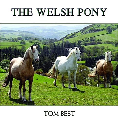 The History of the Welsh Pony (Hardcover)