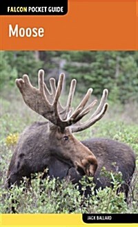 Moose (Paperback)