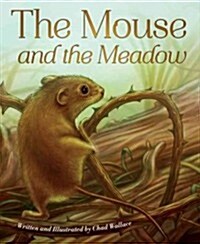 The Mouse and the Meadow (Hardcover)