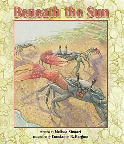 Beneath the Sun (Hardcover)