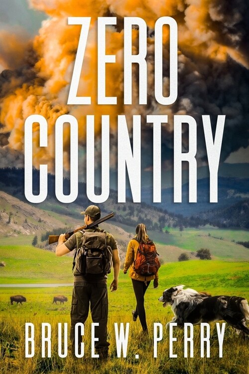 Zero Country (Paperback)