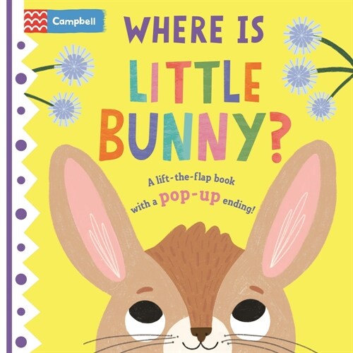 Where Is Little Bunny?: The Lift-The-Flap Book with a Pop-Up Ending! (Board Books)