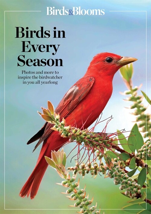 Birds & Blooms Birds in Every Season: Cherish the Feathered Flyers in Your Yard All Year Long (Paperback)