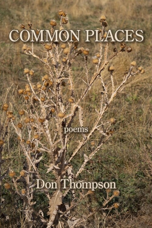 Common Places (Paperback)
