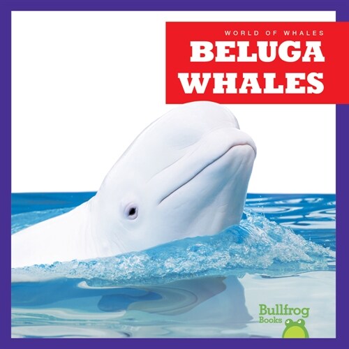 Beluga Whales (Paperback)