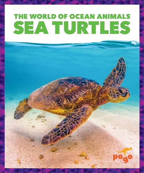 Sea Turtles (Paperback)