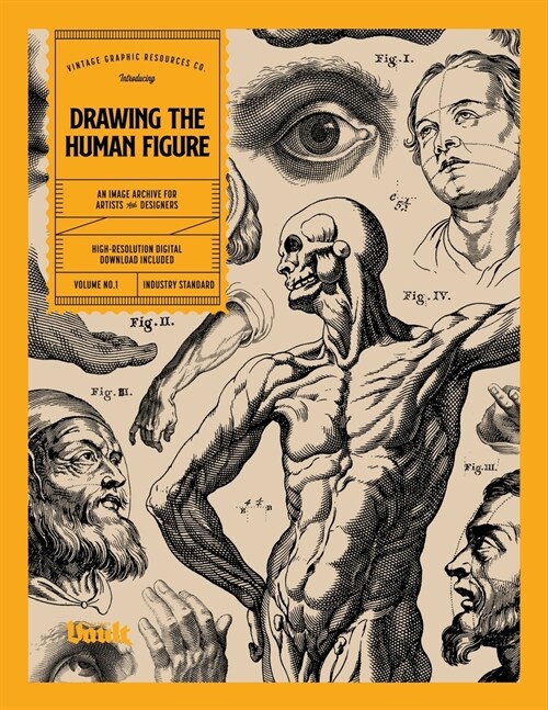 Drawing the Human Figure (Paperback)