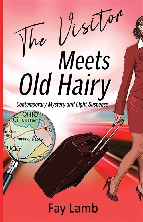 The Visitor Meets Old Hairy: Contemporary Mystery and Light Suspense (Paperback)