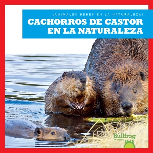 Cachorros de Castor En La Naturaleza (Beaver Kits in the Wild) (Library Binding)