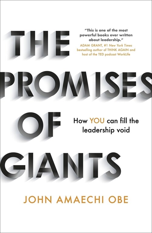 The Promises of Giants : How YOU can fill the leadership void --THE SUNDAY TIMES HARDBACK NON-FICTION & BUSINESS BESTSELLER-- (Paperback)