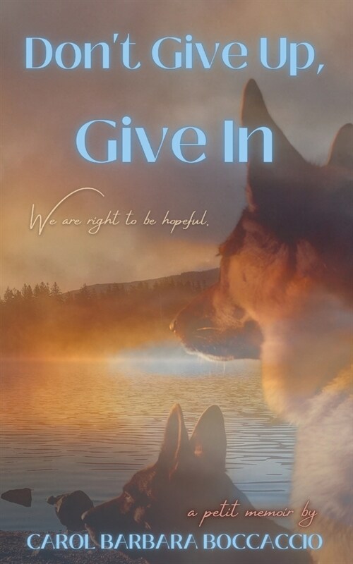 Dont Give Up, Give In (Paperback)