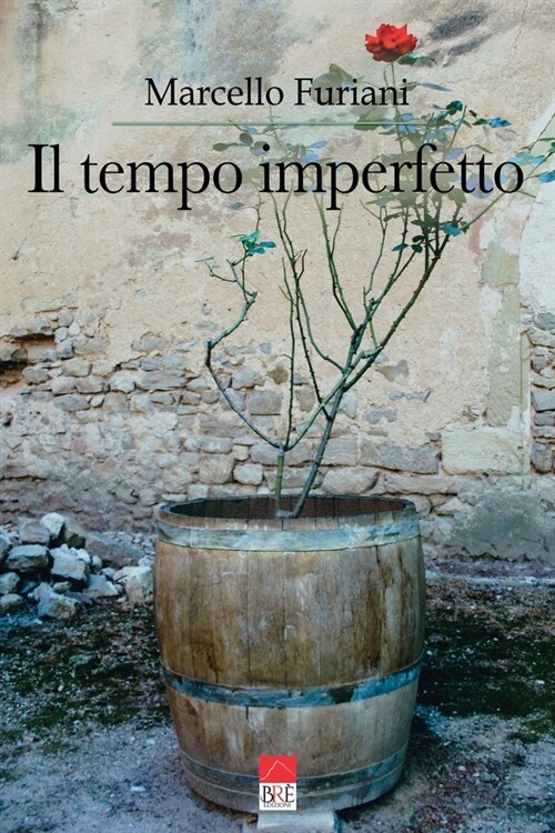 Il tempo imperfetto (Paperback)