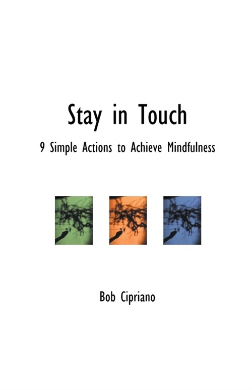 Stay in Touch: 9 Simple Actions to Achieve Mindfulness (Paperback)