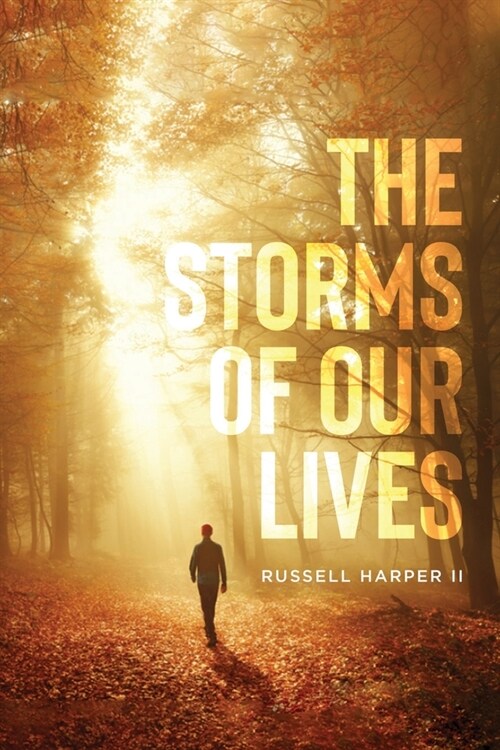 The Storms of our Lives (Paperback)