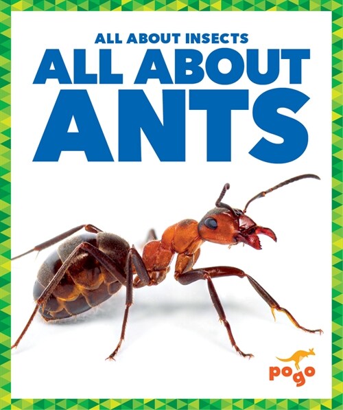 All about Ants (Paperback)