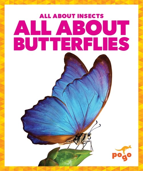 All about Butterflies (Paperback)