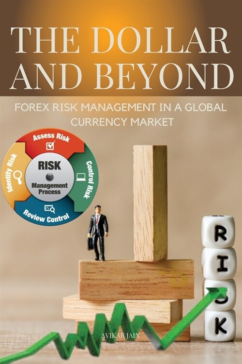 The Dollar and Beyond Forex Risk Management in a Global Currency Market (Paperback)