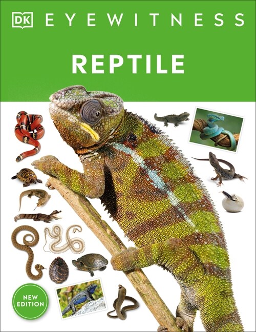 Eyewitness Reptile (Paperback)