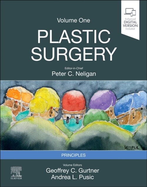Plastic Surgery: Volume 1: Principles (Hardcover, 5)
