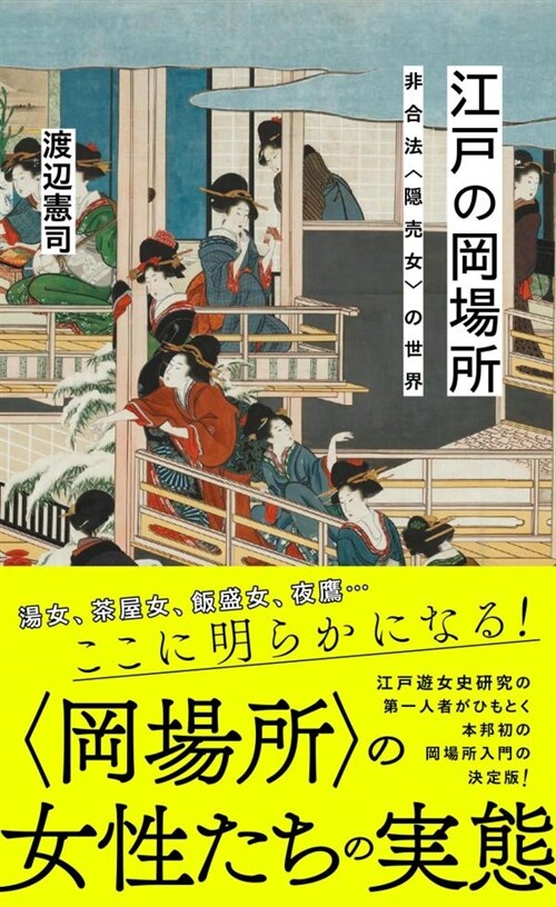 江戶の岡場所 非合法隱賣女の世界 (星海社新書)