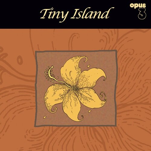 [수입] Tiny Island [180g 45rpm 2LP]