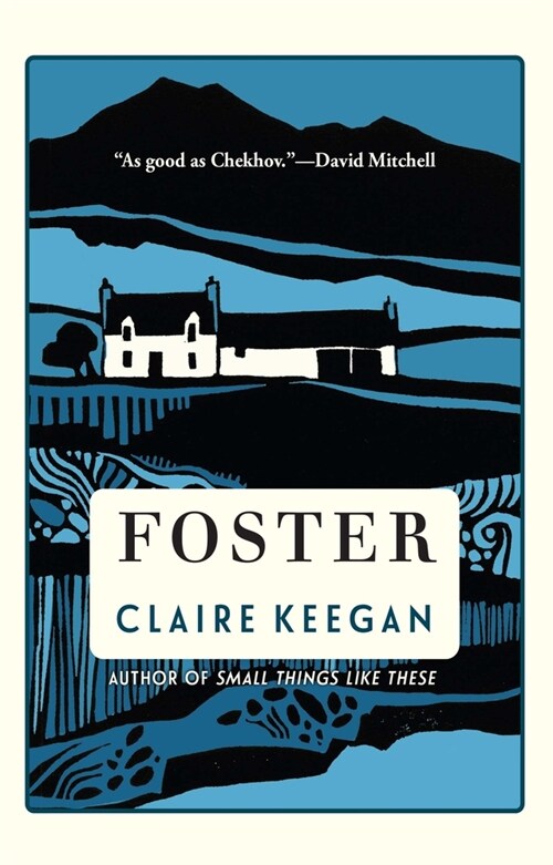 Foster (Paperback)