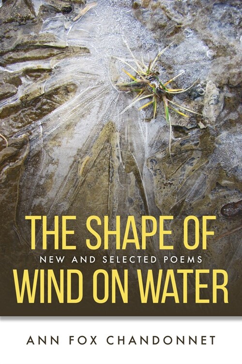 The Shape of Wind on Water: New and Selected Poems (Paperback)