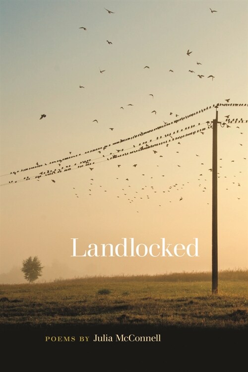 Landlocked (Paperback)