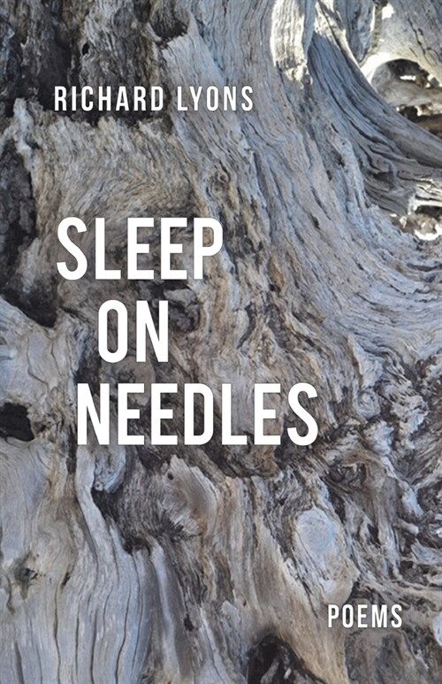 Sleep on Needles (Paperback)