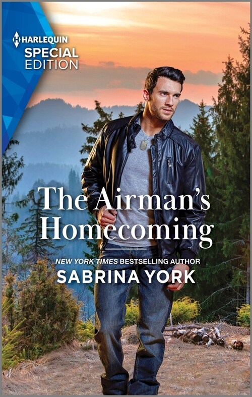 The Airmans Homecoming (Mass Market Paperback, Original)