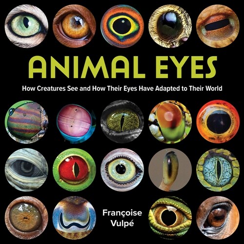 Animal Eyes: How Creatures See and How Their Eyes Have Adapted to Their World (Hardcover)