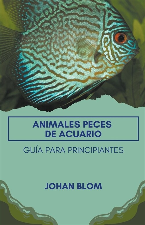Peces de acuario: Gu? para principiantes (Paperback)
