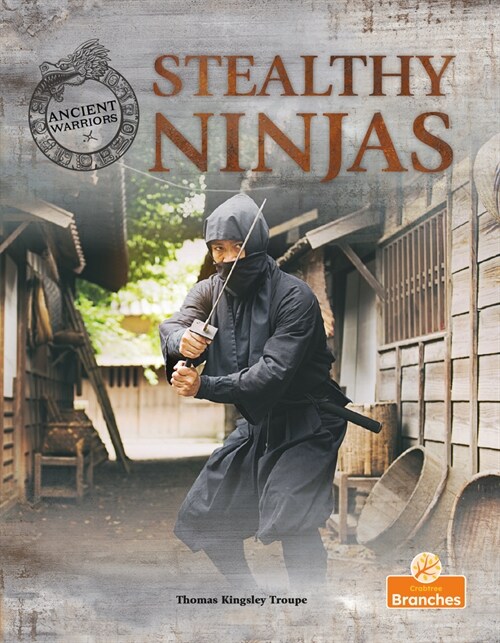 Stealthy Ninjas (Hardcover)