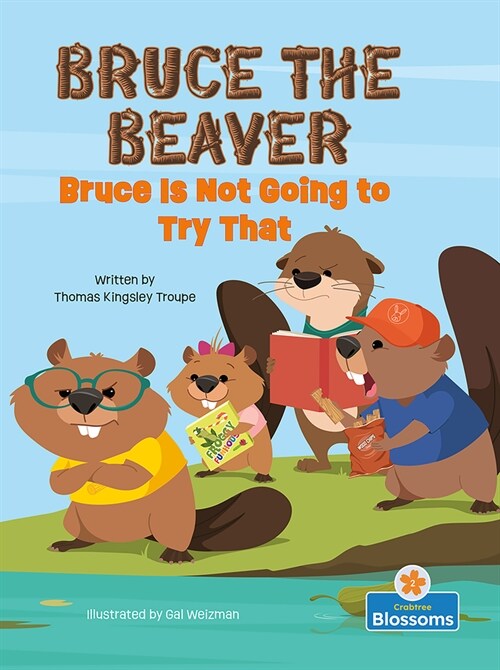 Bruce Is Not Going to Try That (Paperback)