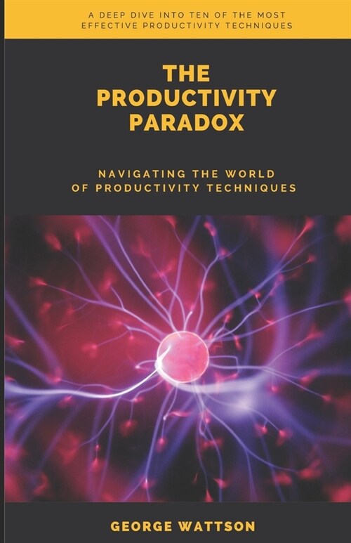 The Productivity Paradox: Navigating the world of productivity techniques (Paperback)